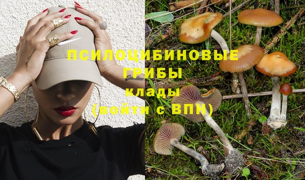 прущие грибы Алексеевка