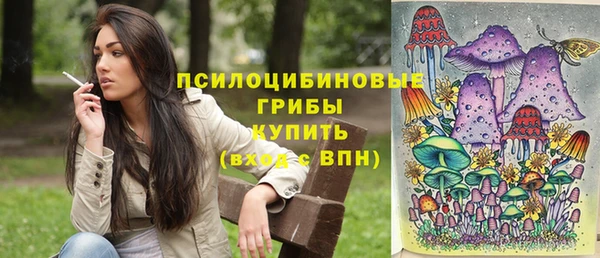 кокс Алексин
