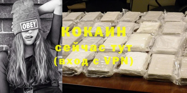 кокс Алексин