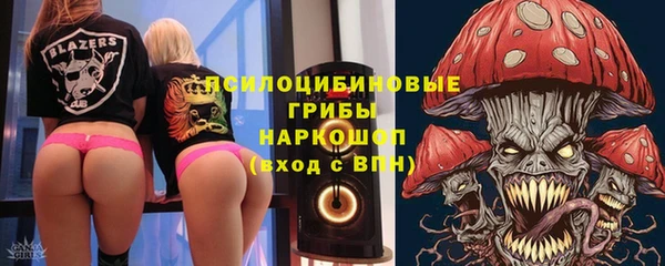 прущие грибы Алексеевка