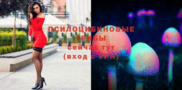 скорость Алзамай