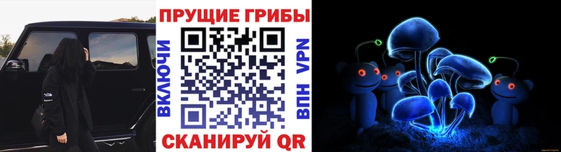 Псилоцибиновые грибы прущие грибы  купить  сайты  Печоры 